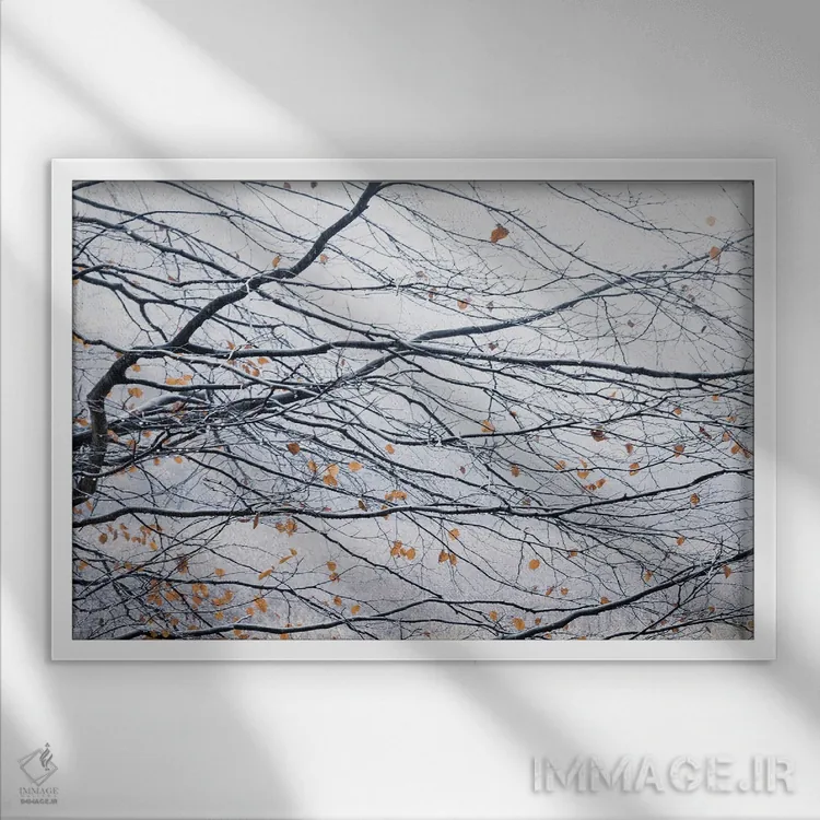 تابلو برگهای رقصان اثر دوریت فوگ - نمای قابدار سفید