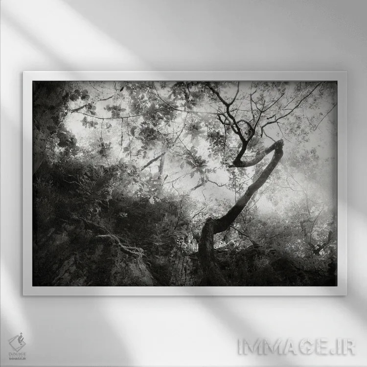 تابلو فراموشی اثر دوریت فوگ - نمای قابدار سفید