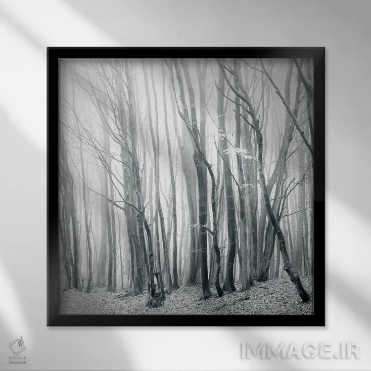 تابلو مه در جنگل ۲ اثر دوریت فوگ - نمای قابدار مشکی