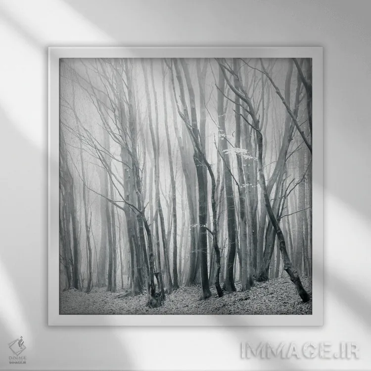 تابلو مه در جنگل ۲ اثر دوریت فوگ - نمای قابدار سفید