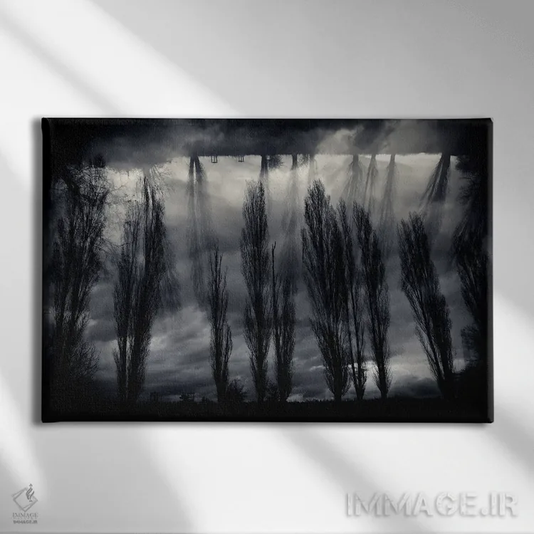 تابلو میان رویاها اثر دوریت فوگ - نمای روبهرو روی دیوار