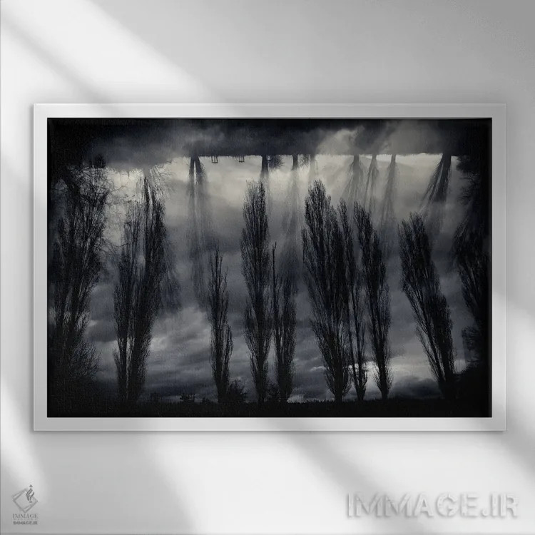 تابلو میان رویاها اثر دوریت فوگ - نمای قابدار سفید