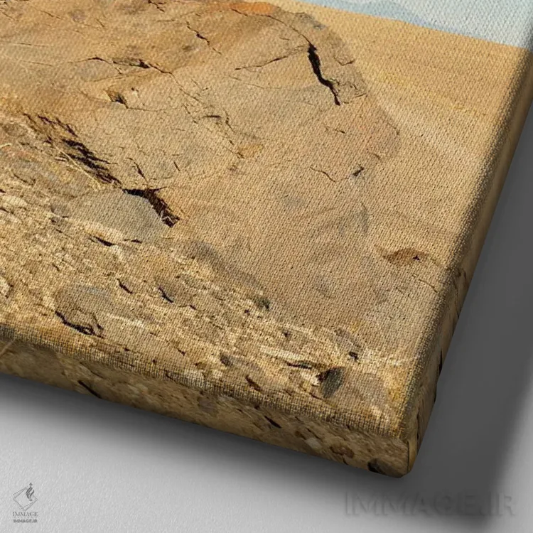 تابلو شیپراک (کوه صخرهای در نیومکزیکو) اثر دنیل گارسیا - نمای نزدیک بافت بوم