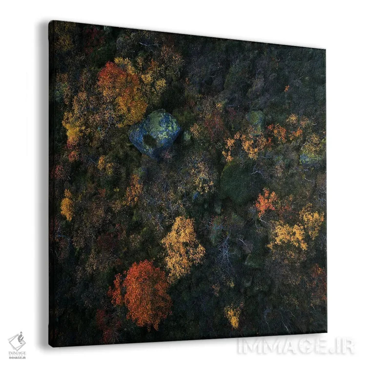 تابلو رنگهای پاییزی لوفوتن از بالا (نروژ) اثر دنیل گاستاگر - نمای پرسپکتیو محصول