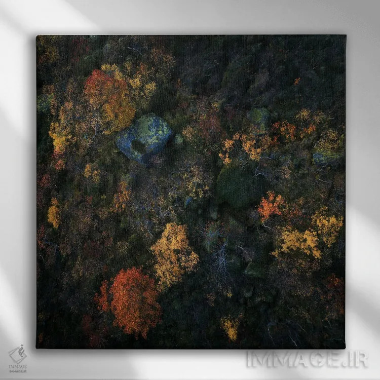 تابلو رنگهای پاییزی لوفوتن از بالا (نروژ) اثر دنیل گاستاگر - نمای روبهرو روی دیوار