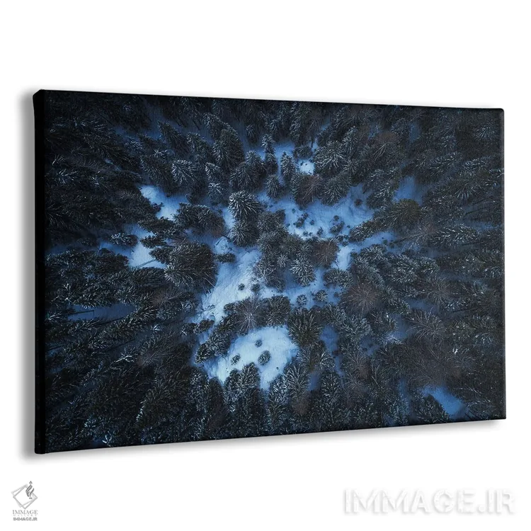 تابلو جنگل زمستانی تاریک در دولومیت اثر دنیل گاستاگر - نمای پرسپکتیو محصول