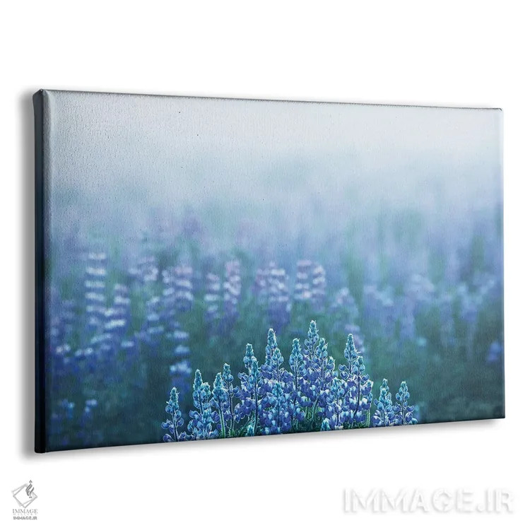 تابلو چشمانداز مهآلود در مزرعه لوپین در ایسلند اثر دنیل گاستاگر - نمای پرسپکتیو محصول