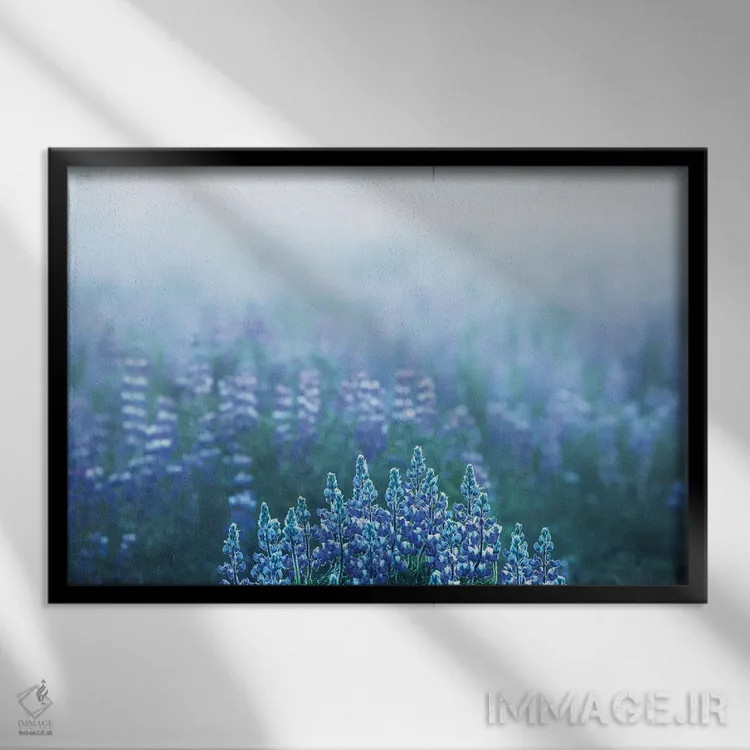 تابلو چشمانداز مهآلود در مزرعه لوپین در ایسلند اثر دنیل گاستاگر - نمای قابدار مشکی