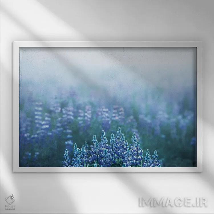 تابلو چشمانداز مهآلود در مزرعه لوپین در ایسلند اثر دنیل گاستاگر - نمای قابدار سفید