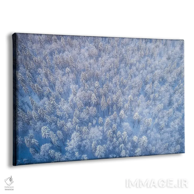 تابلو جنگل یخزده از بالا اثر دنیل گاستاگر - نمای پرسپکتیو محصول