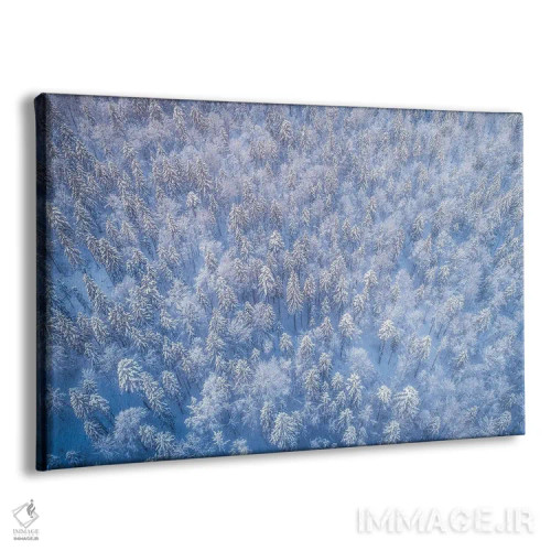 تابلو جنگل یخزده از بالا اثر دنیل گاستاگر - نمای پرسپکتیو محصول