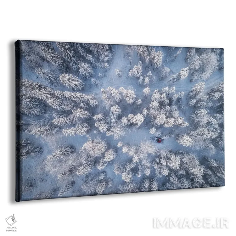 تابلو جنگل زمستانی یخزده در باواریا (آلمان) اثر دنیل گاستاگر - نمای پرسپکتیو محصول