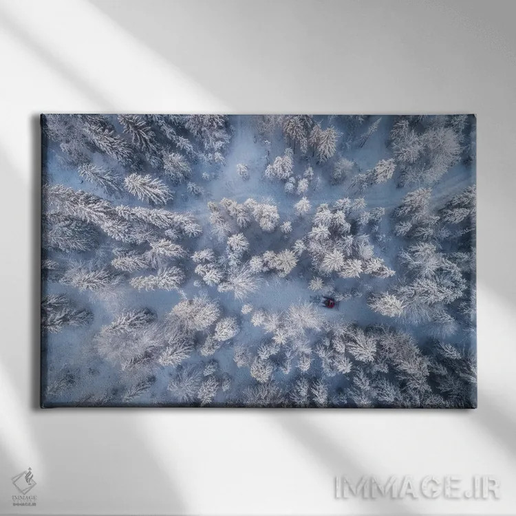 تابلو جنگل زمستانی یخزده در باواریا (آلمان) اثر دنیل گاستاگر - نمای روبهرو روی دیوار