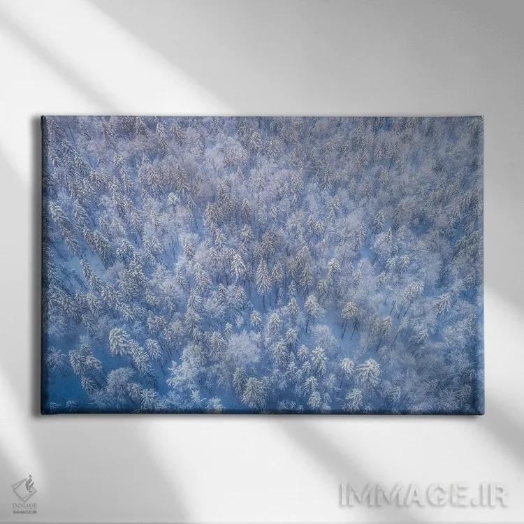 تابلو جنگل یخزده از بالا اثر دنیل گاستاگر - نمای روبهرو روی دیوار