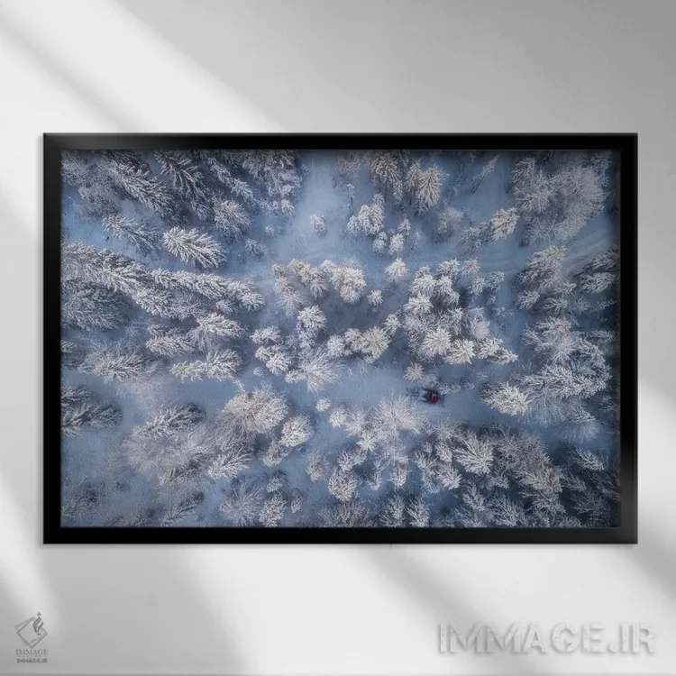 تابلو جنگل زمستانی یخزده در باواریا (آلمان) اثر دنیل گاستاگر - نمای قابدار مشکی