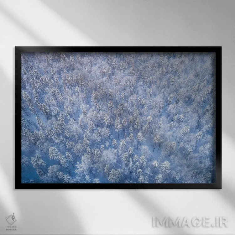 تابلو جنگل یخزده از بالا اثر دنیل گاستاگر - نمای قابدار مشکی