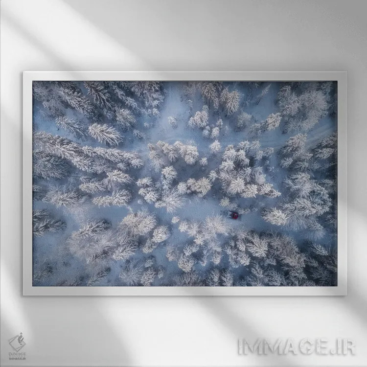 تابلو جنگل زمستانی یخزده در باواریا (آلمان) اثر دنیل گاستاگر - نمای قابدار سفید