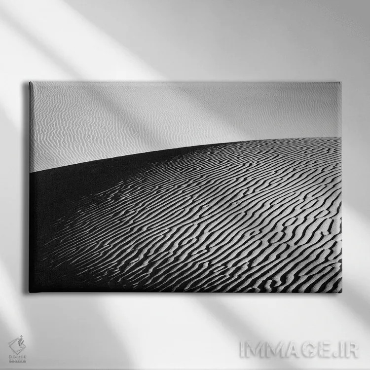 تابلو بیابان در سیاه و سفید اثر دنیل گاستاگر - نمای روبهرو روی دیوار