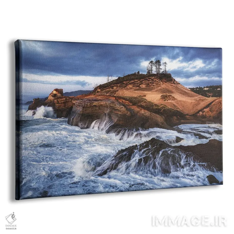 تابلو ساحل وحشی دماغه کیواندا (اورگن) اثر دنیل گاستاگر - نمای پرسپکتیو محصول