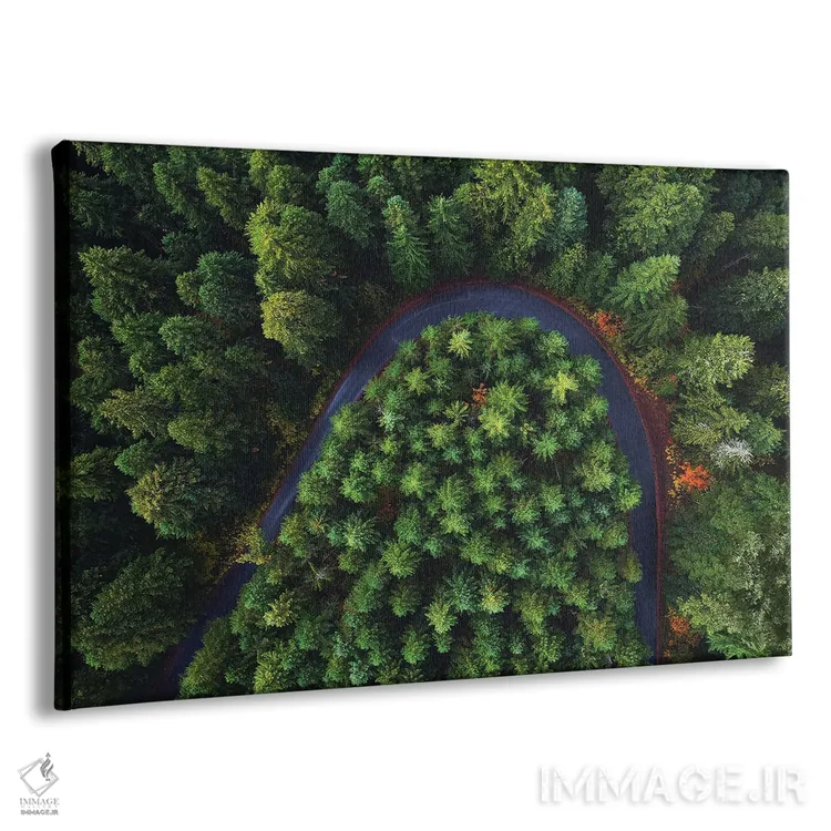 تابلو جاده جنگلی اورگن از بالا اثر دنیل گاستاگر - نمای پرسپکتیو محصول