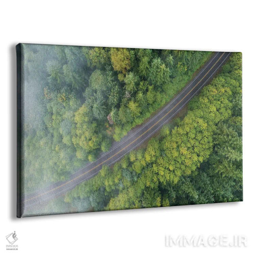 تابلو جاده جنگلی مهآلود از بالا اثر دنیل گاستاگر - نمای پرسپکتیو محصول