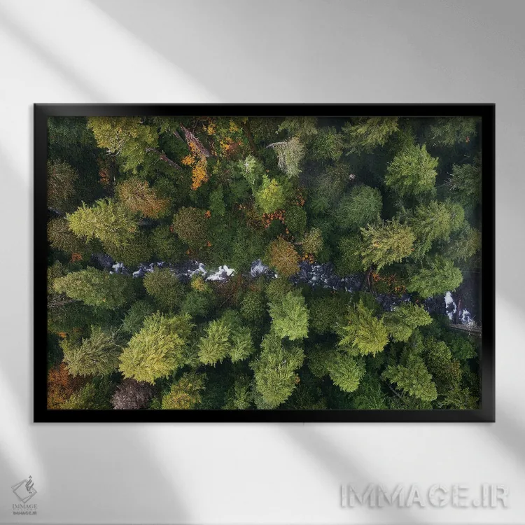 تابلو جویبار جنگلی اورگن از بالا اثر دنیل گاستاگر - نمای قابدار مشکی