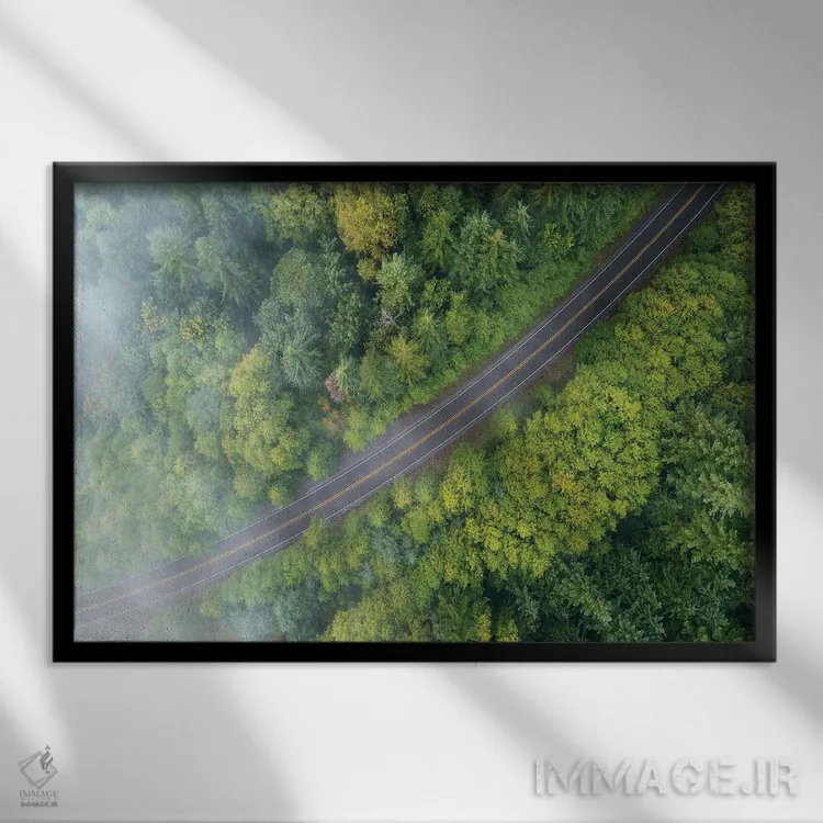 تابلو جاده جنگلی مهآلود از بالا اثر دنیل گاستاگر - نمای قابدار مشکی