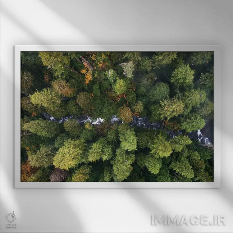 تابلو جویبار جنگلی اورگن از بالا اثر دنیل گاستاگر - نمای قابدار سفید