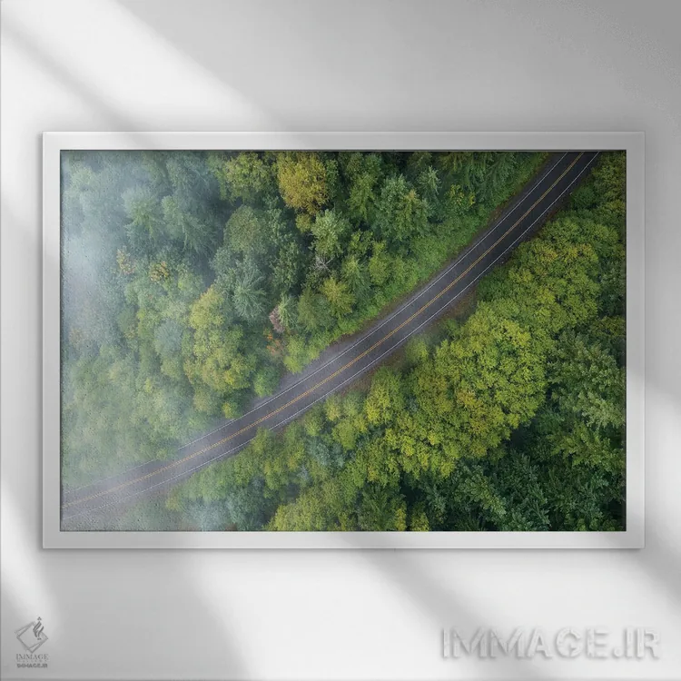 تابلو جاده جنگلی مهآلود از بالا اثر دنیل گاستاگر - نمای قابدار سفید