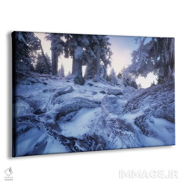 تابلو جنگل یخزده اورگن اثر دنیل گاستاگر - نمای پرسپکتیو محصول