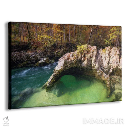 تابلو عصر پاییزی کنار جوی جنگلی در اسلوونی اثر دنیل گاستاگر - نمای پرسپکتیو محصول