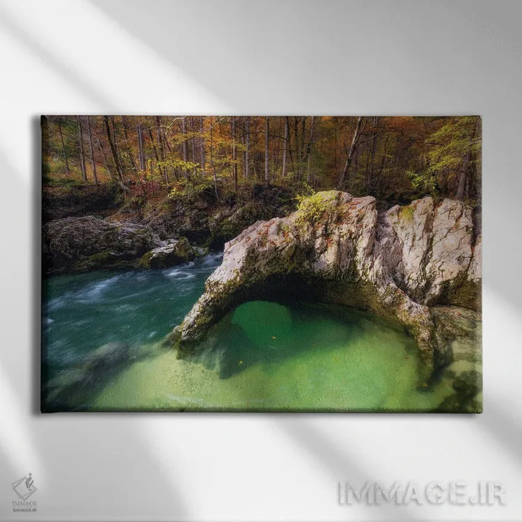 تابلو عصر پاییزی کنار جوی جنگلی در اسلوونی اثر دنیل گاستاگر - نمای روبهرو روی دیوار