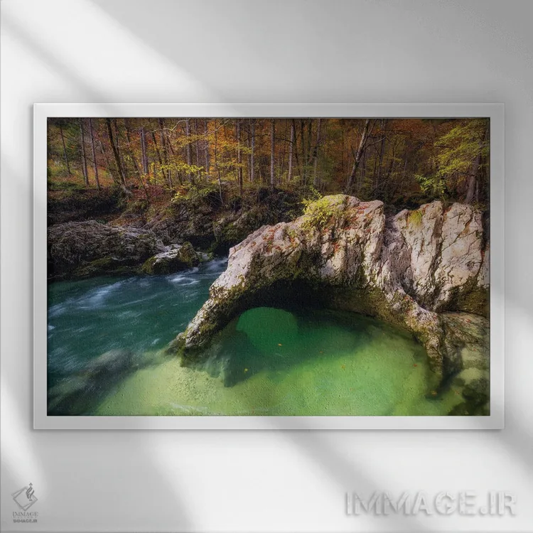 تابلو عصر پاییزی کنار جوی جنگلی در اسلوونی اثر دنیل گاستاگر - نمای قابدار سفید