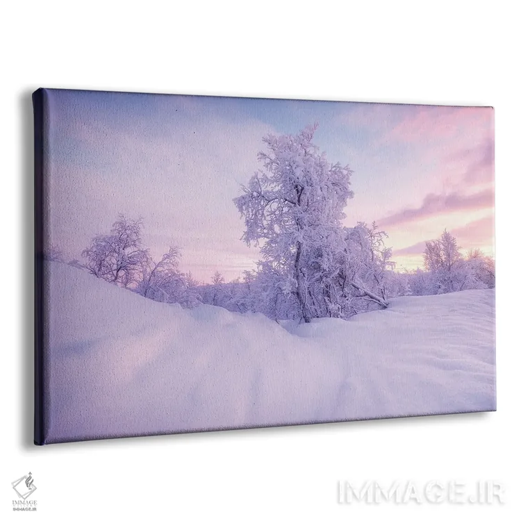 تابلو عصر زمستانی سرد در سوئد اثر دنیل گاستاگر - نمای پرسپکتیو محصول