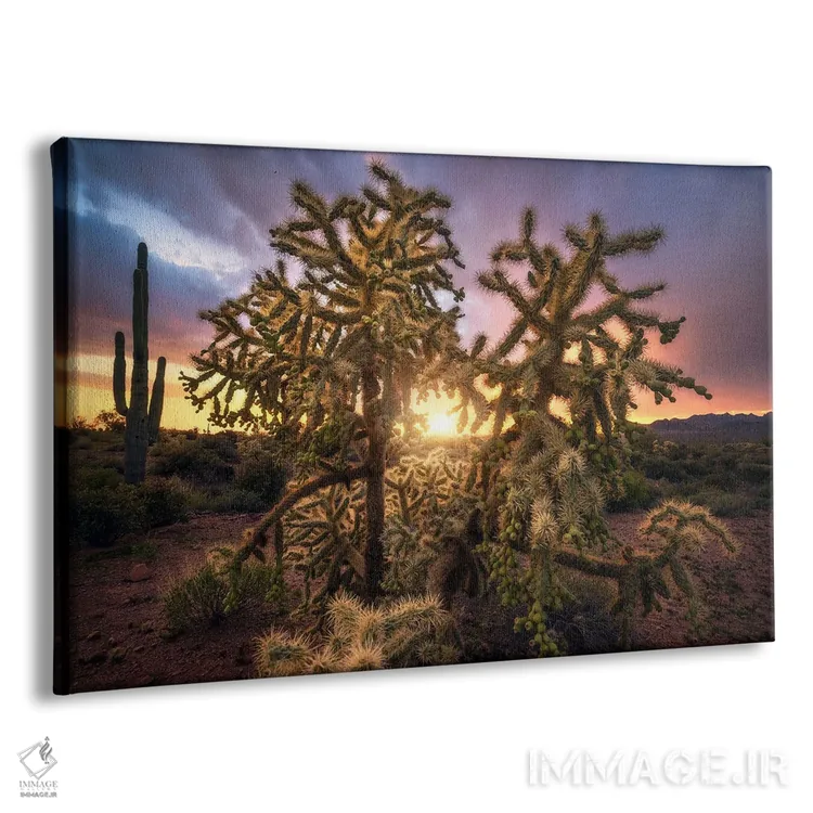 تابلو غروب طلایی در بیابان اثر دنیل گاستاگر - نمای پرسپکتیو محصول