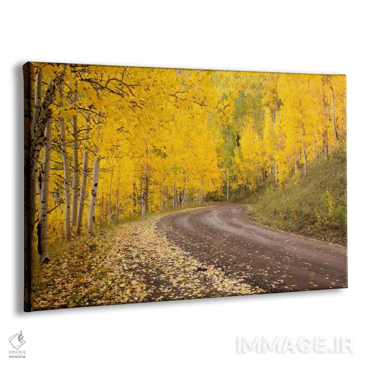 تابلو Owl Creek Pass, Uncompahgre National Forest, Colorado, USA,منظره پاییزی، گردنه اوول کریک، جنگل ملی آنکامپاگری، کلرادو، آمریکا اثر دان گرال - نمای پرسپکتیو محصول