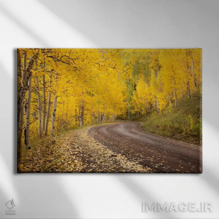 تابلو Owl Creek Pass, Uncompahgre National Forest, Colorado, USA,منظره پاییزی، گردنه اوول کریک، جنگل ملی آنکامپاگری، کلرادو، آمریکا اثر دان گرال - نمای روبهرو روی دیوار