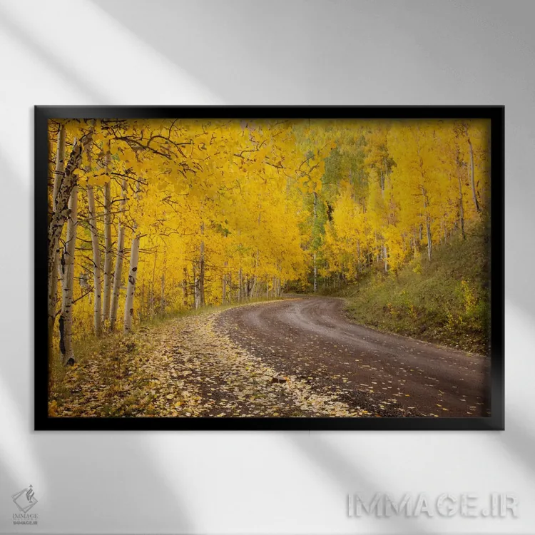 تابلو Owl Creek Pass, Uncompahgre National Forest, Colorado, USA,منظره پاییزی، گردنه اوول کریک، جنگل ملی آنکامپاگری، کلرادو، آمریکا اثر دان گرال - نمای قابدار مشکی