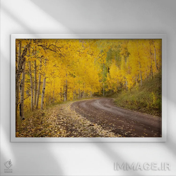 تابلو Owl Creek Pass, Uncompahgre National Forest, Colorado, USA,منظره پاییزی، گردنه اوول کریک، جنگل ملی آنکامپاگری، کلرادو، آمریکا اثر دان گرال - نمای قابدار سفید