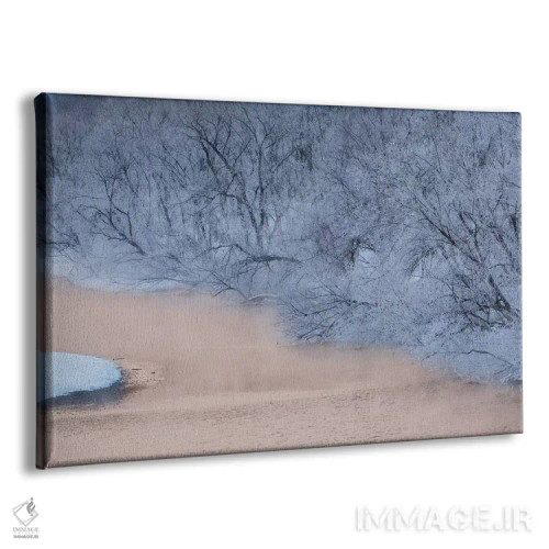 تابلو Hokkaido, Japan,یخزدگی درختان در حاشیه رودخانه، هوکایدو، ژاپن اثر دارل گالین - نمای پرسپکتیو محصول