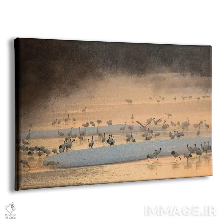 تابلو نور صبحگاهی و بخار از رودخانه با حضور درناهای تاج سرخ در حال استراحت اثر دارل گالین - نمای پرسپکتیو محصول