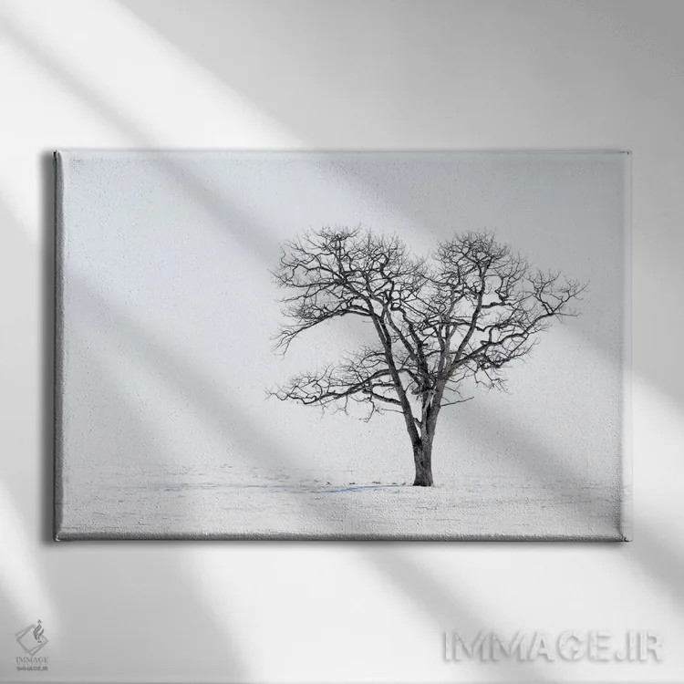 تابلو Hokkaido, Japan,درخت تنها در دشتی از برف، هوکایدو، ژاپن اثر دارل گالین - نمای روبهرو روی دیوار