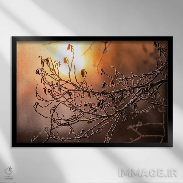 تابلو Hokkaido, Japan,یخزدگی درختان در حاشیه رودخانه، هوکایدو، ژاپن اثر دارل گالین - نمای قابدار مشکی