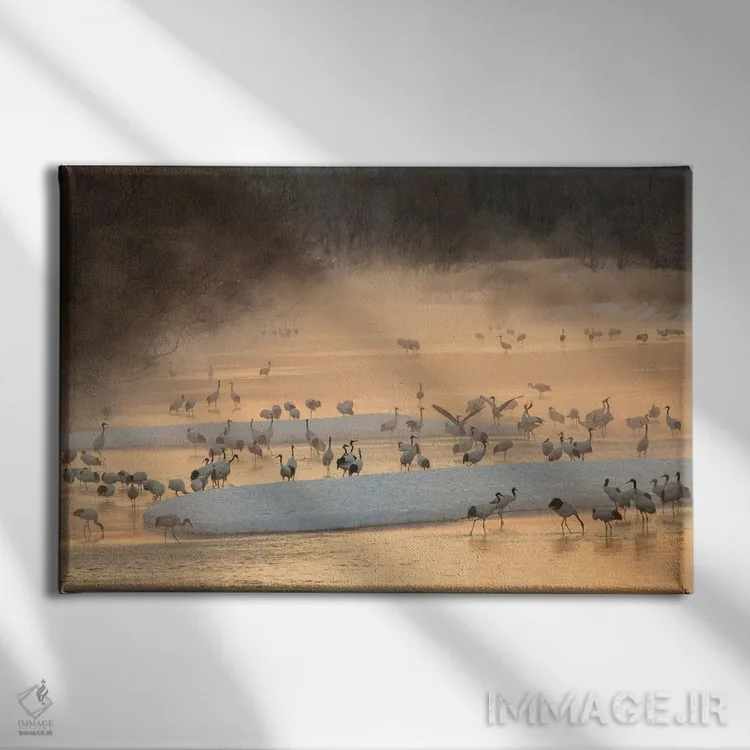 تابلو نور صبحگاهی و بخار از رودخانه با حضور درناهای تاج سرخ در حال استراحت اثر دارل گالین - نمای روبهرو روی دیوار