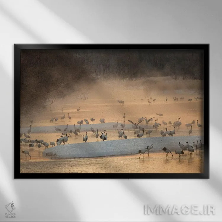 تابلو نور صبحگاهی و بخار از رودخانه با حضور درناهای تاج سرخ در حال استراحت اثر دارل گالین - نمای قابدار مشکی