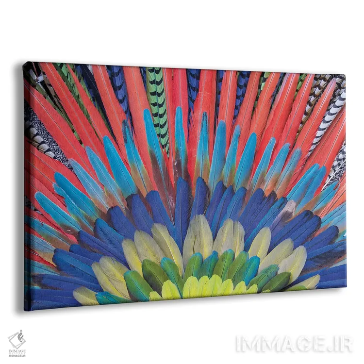 تابلو Mexico. Native feather headdress,سن میگل د آلنده، مکزیک. دستار پر بومی اثر دارل گالین - نمای پرسپکتیو محصول