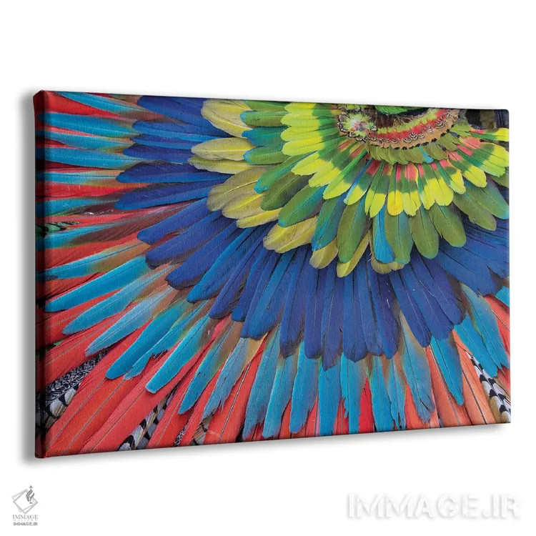 تابلو Mexico. Native feather headdress,سن میگل د آلنده، مکزیک. دستار پر بومی اثر دارل گالین - نمای پرسپکتیو محصول