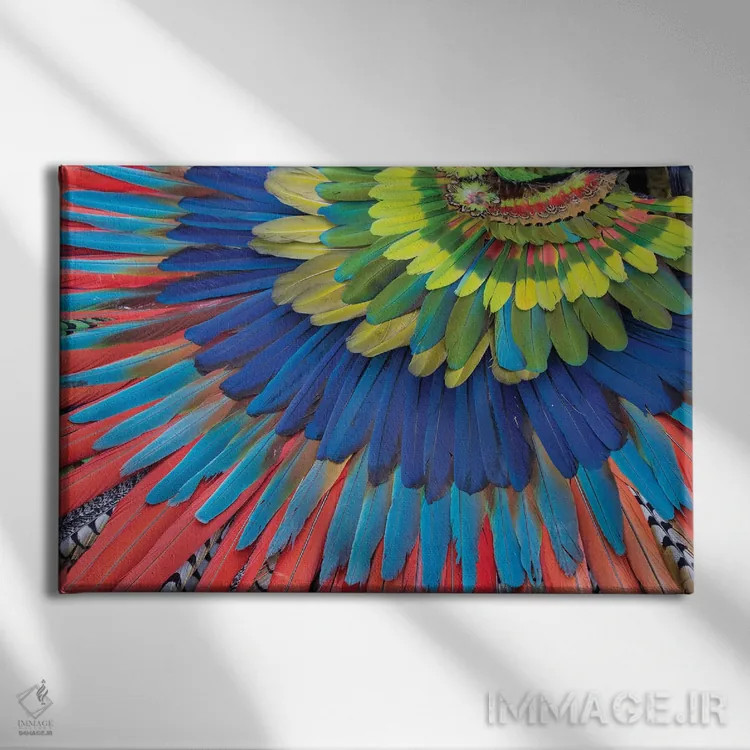 تابلو Mexico. Native feather headdress,سن میگل د آلنده، مکزیک. دستار پر بومی اثر دارل گالین - نمای روبهرو روی دیوار