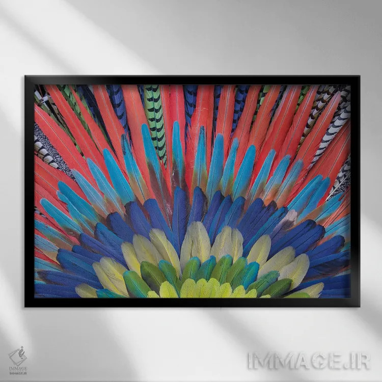 تابلو Mexico. Native feather headdress,سن میگل د آلنده، مکزیک. دستار پر بومی اثر دارل گالین - نمای قابدار مشکی