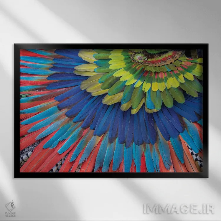 تابلو Mexico. Native feather headdress,سن میگل د آلنده، مکزیک. دستار پر بومی اثر دارل گالین - نمای قابدار مشکی